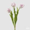 Tulipano parrot-mazzo 3 pezzi-rosa-h.51 cm-edg