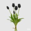 Tulipano mazzo 5 pezzi-nero-h.40 cm-edg