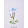 Canovaccio con fiore genziana-lino-70x45 cm-new diffusion