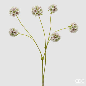 Scabiosa ramo-bianco-h.66 cm-edg