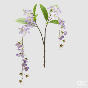 Clematis viticella ramo-h.105 cm-edg