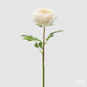 Rosa elide ramo-h.45 cm- bianco-edg