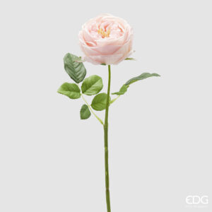 Rosa elide ramo-h.45 cm-rosa-edg