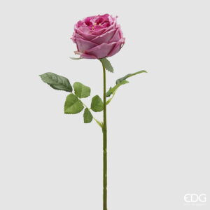 Rosa elide ramo-h.45 cm-rosa sfumato-edg