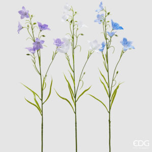 Campanula ramo con foglie-assortita-h.70 cm-edg