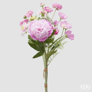 Peonia cespuglio-h.60 cm-edg