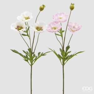 Papavero ramo-assortito bianco e rosa-h.70 cm-edg