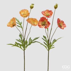 Papavero ramo-assortito arancio-h.70 cm-edg