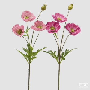 Papavero ramo-assortito-rosa-h.70 cm-edg