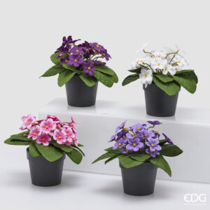 Violetta con vaso-assortita-h.16 cm-edg