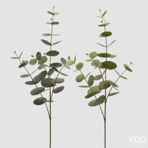 Eucalipto ramo-assortito-h.89 cm-edg