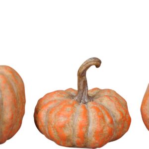 Zucca-assortita-ceramica-boltze