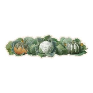 Runner centrotavola in vinile-zucche-40x120 cm-blanc mariclo'