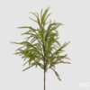 Cryptomeria ramo-h.71 cm-edg